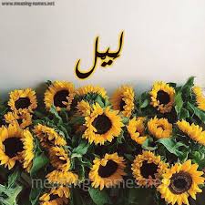 معنى اسم ل ي ل قاموس الأسماء و المعاني