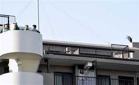 千葉 アフリカハゲコウ 脱走 職員３０人 捕獲できず 全国ニュース 四国新聞社