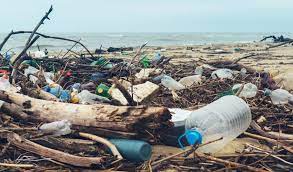 How is bioplastic packaging made from algae and other renewable sources reducing plastic pollution?