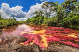 Dû au fait que le pays est localisé sur la ligne de l'équateur, colombie profite d'un climat tropical durant tout l'année. Partir En Voyage En Colombie Nos 5 Precieux Conseils Meilleures Offres