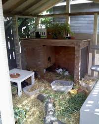 Lots To Keep Rabbits Entertained In Here Pic Rabbitats Org Kaninchen Kaninchenhaltung Kaninchen Aussengehege