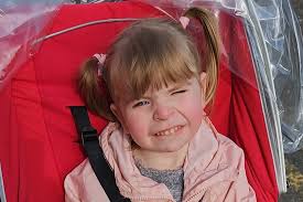 Fundraiser for Glenn Arnold by Nicola Sage : Lacey-mae get a safe place to  sleep