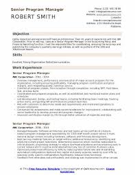 Free finance manager resume 1. Senior Program Manager Resume Samples Report To Senior Management Template Piccomemorial