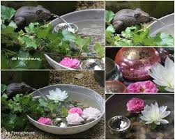 Oder Ein Kleiner Brunnen Ich Glaub Sogar Dass Is Die Schale Die Bei Mir Auf Dem Esstisch Steht 0 O Kleine Brunnen Miniteich Schwimmenden Blumen