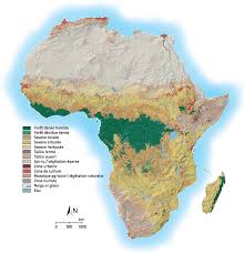 Maybe you would like to learn more about one of these? Fleuve D Afrique Du Nord 4 Lettres