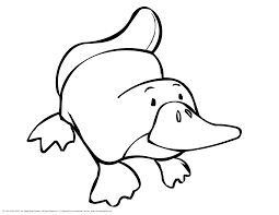 Your use of our printables is subject to our licensing terms and terms of use. Duck Billed Platypus Coloring Page Novocom Top