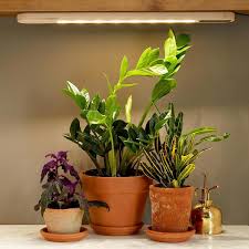 Sprout Seedlings And Grow Plants In Sunlight Free Indoor Zones With This Full Spectrum Birch Grow Light Gard Plant Lighting Hanging Plants Hanging Plants Diy