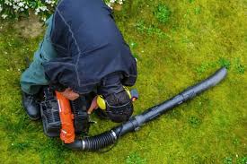 When you pull the starter rope, tabs extending from the pulley and cam should grab the hub on the engine, causing the engine to turn. How To Fix A Leaf Blower That Won T Start Step By Step