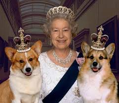 Bugun Birlesik Krallik In Kralicesi Olan Kralice Ii Elizabeth In Holly Ve Willow Adinda Iki Corgi Cinsi Ve Candy Ve Vulcan Adinda Corgi Korgi Corgi Hayvanlar