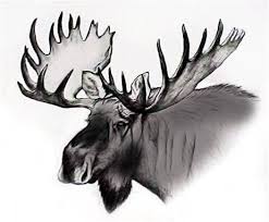 Moose Head Moose Painting Moose Tattoo Moose Pictures No need to register, buy now! moose head moose painting moose