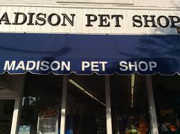 Shop for all of your pet needs at chewy's online pet store. Madison Pet Shop Madison Nj Pet Supplies