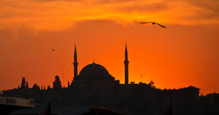 Semua makanan yang mengandung vitamin adalah baik untuk pertumbuhan dan perkembangan otak bayi dalam kandungan. Keutamaan Mengajarkan Asmaul Husna Pada Anak Popmama Com