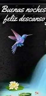Pin De Angel Enamorado En Buenas Noches Mensajes De Buenas Noches Palabras De Buenas Noches Buenos Dias Bendiciones
