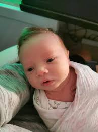 Welcome to our beautiful Dorset babies