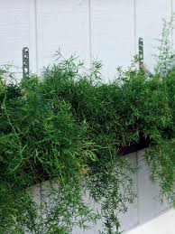 Magical, meaningful items you can't find anywhere else. Build A Living Wall Planter Hgtv