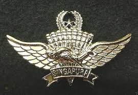 Since i don't have a good program to chop vids up i'm sorry for them being poor u u u. Singapore Freefall Advanced Parachutist Airborne Jump Wing Para Badge Halo Pji 1034784596