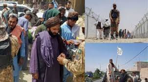 Veterans and gold star families react to fall of afghanistan: Xt8nqcjexqn Mm