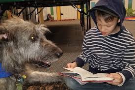 Location the law library is located on the second floor in the hallway between the district clerk and district attorney's office, room 2023. Giants In Their Community Texas Co Op Power