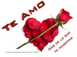 Te Amo Frases Cortas De Amor Gif 500 375 Imagenes De Amor Postales De Amor Imagenes De Te Amo
