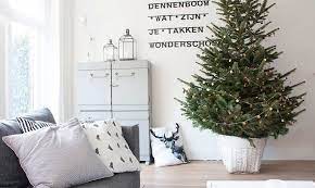 How To Choose A Living Tree To Replant After Christmas Christmas Tree Base Modern Christmas Decor Live Christmas Trees