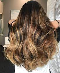20 Ideas Of Honey Balayage Highlights On Brown And Black Hair Honey Balayage Blonde Hair Color Brunette Hair Color