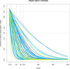 Image result for Englerodendron mengei