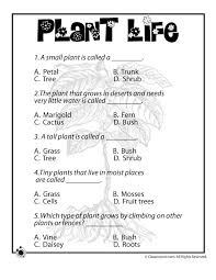 If you fail, then bless your heart. Plant Quiz Worksheets 99worksheets