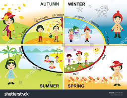 Vector Illustration Seasons Seasonal Chart Year Stock Vector