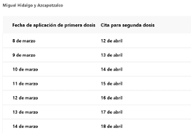 ¿cómo registrarse para ser vacunados contra el coronavirus en méxico? Vacunacion Contra Covid 19 En Cdmx Continua La Aplicacion De Segunda Dosis Para Adultos Mayores Estas Son Las Fechas Y Alcaldias