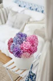 Hydrangeas Ortensie Casa Dolce Casa Colori