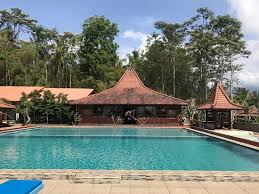 1 od 111 u kategoriji specijalizovani tip smeštaja (banyuwangi) uz ocenu 4,5/5 na tripadvisoru. Kampoeng Joglo Ijen Picture Of Kampoeng Joglo Ijen Banyuwangi Tripadvisor