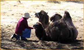 See 81 traveler reviews, 32 candid photos sacred springs retreat and b&b, middletown. Adi Da And Adidam Contact Devotees In A Region Near You
