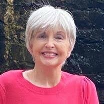 Sue Anderson Delucia Obituary