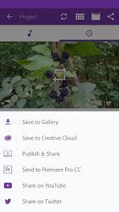Video düzenleme klip oluşturma ve dahasını bu uygulamada profesyonel olarak yapın. Adobe Premiere Clip Apk Download