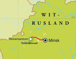 The situation in belarus is becoming ever more grave. Natuurreis Wit Rusland Djoser