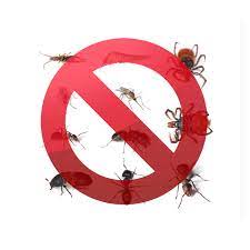 We understand how frustrating these creatures can be to deal with, especially when. Benefits Of Pest Control In Houston Houston Pest Management