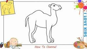Notice how the lines diverge from one another. How To Draw A Camel Easy Slowly Step By Step For Kids Beginners Children Youtube