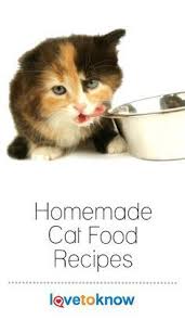 Preparing A Homemade Dinner For Your Cat Can Be A Real Treat For Him Especially Cat Food Mit Bildern Gesundes Katzenfutter Gutes Katzenfutter Zubereitung