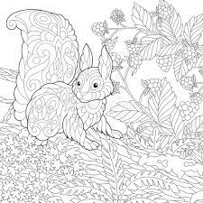 Online coloring > animals jungle. Forest Colouring Stock Illustrations 1 133 Forest Colouring Stock Illustrations Vectors Clipart Dreamstime