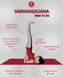 How To Do Sarvangasana Learn Yoga Poses Essential Yoga Poses Easy Yoga Workouts