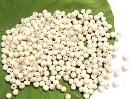 Bài thuốc đông y chữa ăn uống không tiêu, gầy mòn ở trẻ em