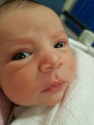 Monash Medical Centre staff amazed at miracle mum Leanne French who cheated  death three times