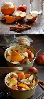 7 Brilliant Diy Scents That Will Make Your Home Smell Amazing Fall Potpourri Fall Recipes Diy Fall