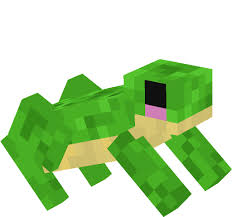Where can you put a banner in minecraft? Frog Nova Skin