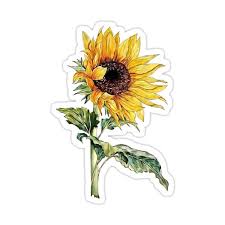 Strong stickiness in metal, plastic items and not easy to lay off whether in cold or hot. Sunflower Sticker By Firstlove Aesthetic Stickers Floral Stickers Bubble Stickers