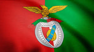 Uefa esclarece utilização da bandeira lgbt: Benfica Flag Soccer Stadium Football Arena Champions League Teams And Crowd Fans Night Scene Editorial Stock Image Image Of Audience Home 44808704