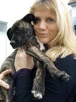 hundetagesstaetteriedstadt.de