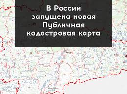 Поиск и проверка объектов недвижимости. Departament Gosudarstvennogo Imushestva I Zemelnyh Otnoshenij Zabajkalskogo Kraya V Rossii Zapushena Novaya Publichnaya Kadastrovaya Karta