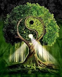 Vivre Dans L Abondance Grace Aux Mcs 28 Et 29 Avril 2018 Les Memoires Cellulaires De Structure Lors De La Prec Dessin Arbre De Vie Arbre De Vie Dessin Arbre