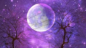 Moon night sky space star nature landscape moonlight galaxy. Hd Wallpaper Artistic Moon Purple Sky Starry Sky Tree Wallpaper Flare